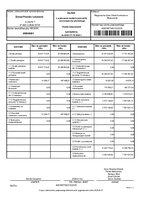 bilans_wykonanie_budzet_Powiat_Lubaczowski_2024.pdf