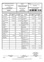 bilans_wykonanie_budzet_Powiat_Lubaczowski_2025.pdf
