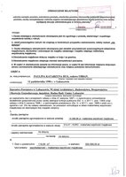 Paulina Huk.pdf